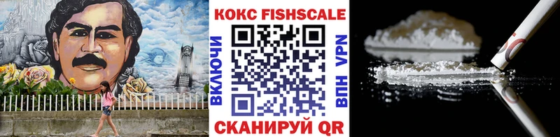 купить закладку  Вязьма  Cocaine Эквадор 