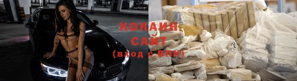 дживик Белокуриха