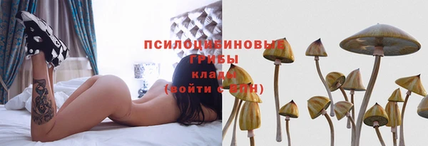 a pvp Белоозёрский