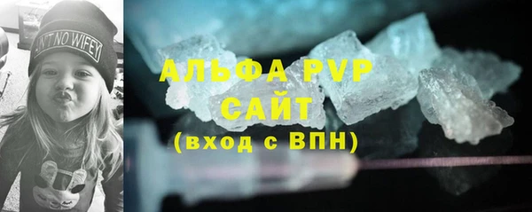 дживик Белокуриха
