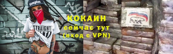 дживик Белокуриха
