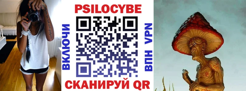 купить наркоту  Вязьма  площадка наркотические препараты  Псилоцибиновые грибы Psilocybe 